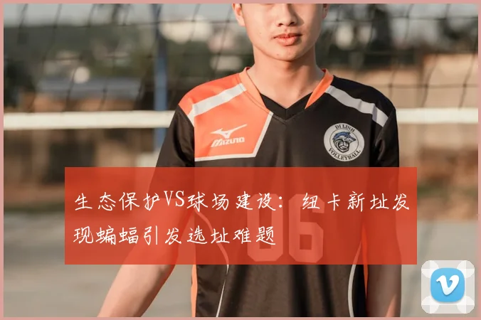 生态保护VS球场建设:纽卡新址发现蝙蝠引发选址难题