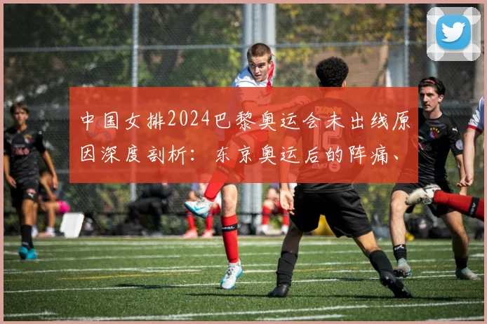 中国女排2024巴黎奥运会未出线原因深度剖析：东京奥运后的阵痛、新帅挑战与未来展望